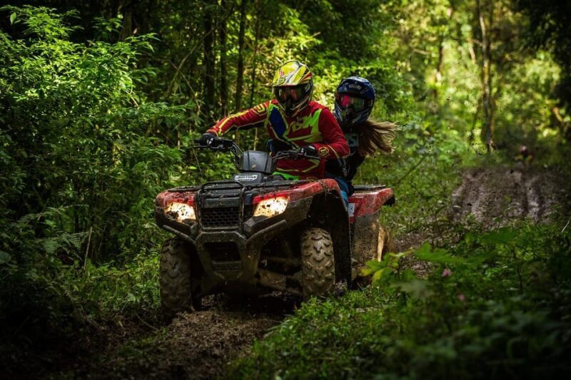 Rovaniemi: Quad Bike Wilderness Safari - Key Points