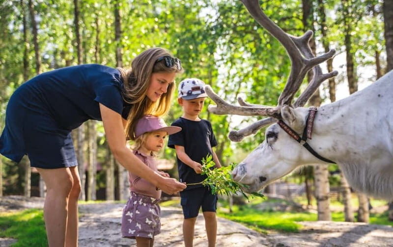 Rovaniemi: Reindeer Farm Visit at Autumn - The Practicalities — What to Expect