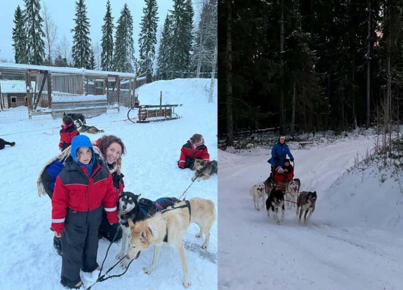 Rovaniemi: Reindeer & Husky Safari with Lunch - Starting at the Reindeer Farm: Meeting Arctic Livestock