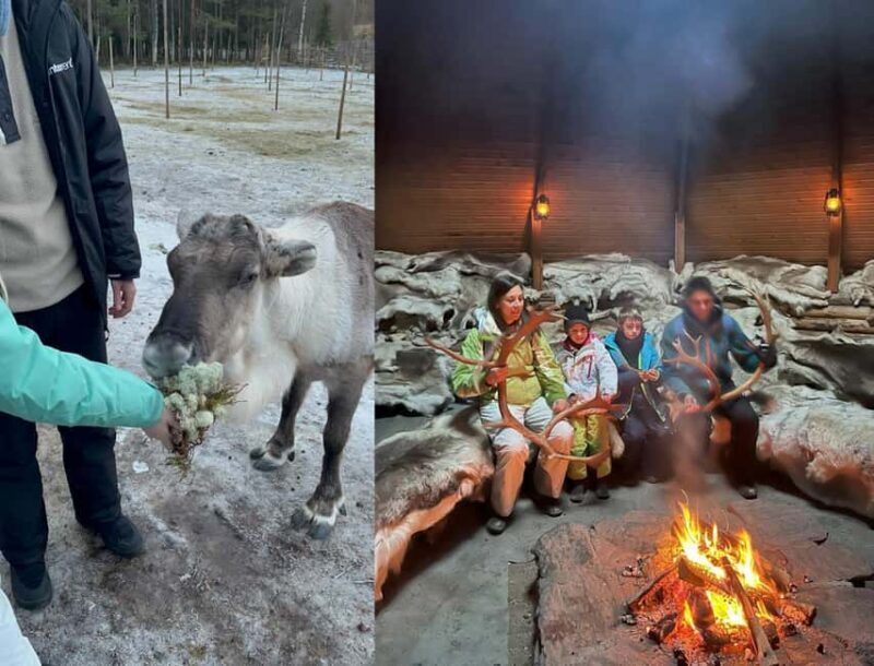 Rovaniemi: Reindeer & Husky Safari with Lunch - The Long Reindeer Sleigh Ride: A Serene Arctic Journey
