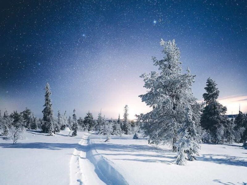 Rovaniemi: Riisitunturi Full-Day Wilderness Adventure & BBQ - A Deep Dive into the Riisitunturi Wilderness Adventure