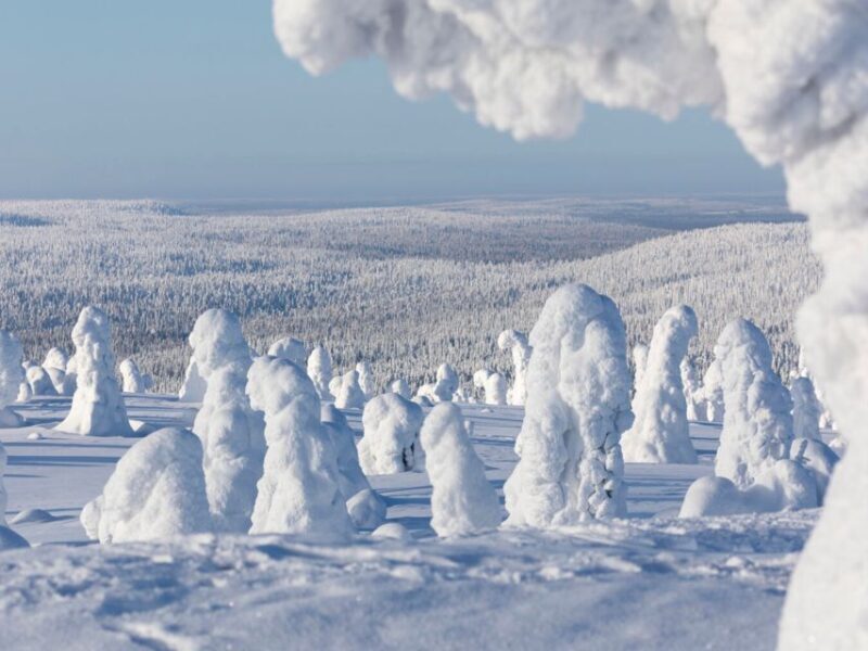 Rovaniemi: Riisitunturi Full-Day Wilderness Adventure & BBQ - Who Is This Tour Perfect For?