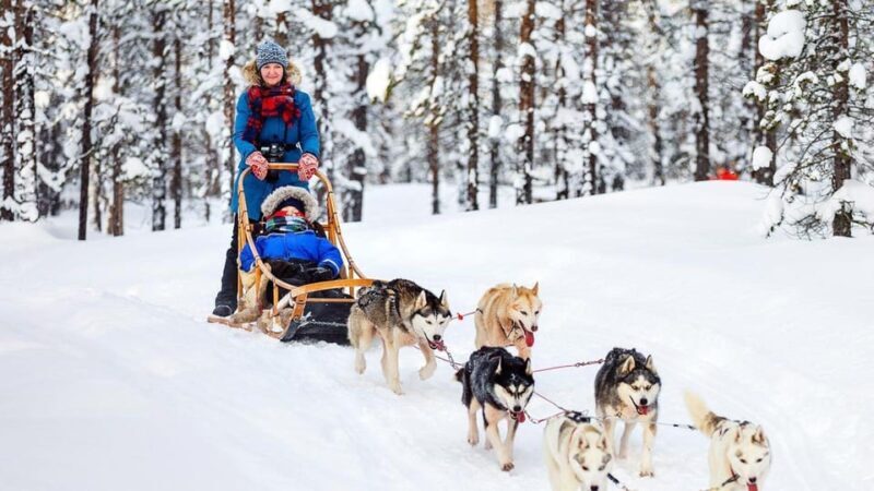 Rovaniemi: Santa Claus Village + Husky & Reindeer Sled Ride - Key Points: