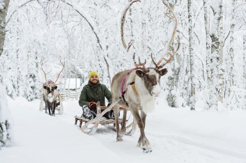 Rovaniemi: Santa Claus Village + Husky & Reindeer Sled Ride - The Itinerary: What to Expect from This Rovaniemi Tour
