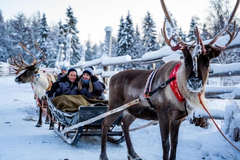 Rovaniemi: Santa's Village, Husky, & Reindeer Sled Ride - Who Will Love This Experience?