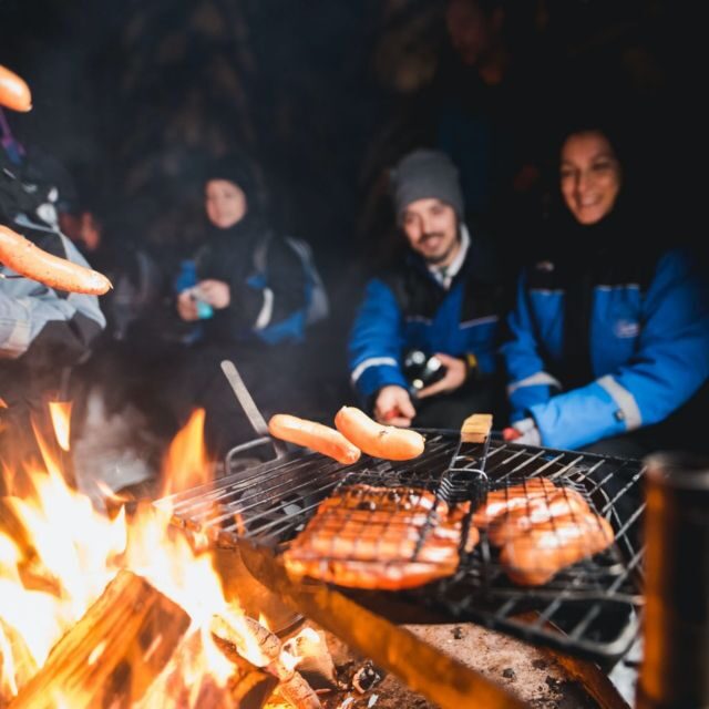 Rovaniemi: Search for Northern Lights Snowmobiling Trip - Rovaniemi: Search for Northern Lights Snowmobiling Trip