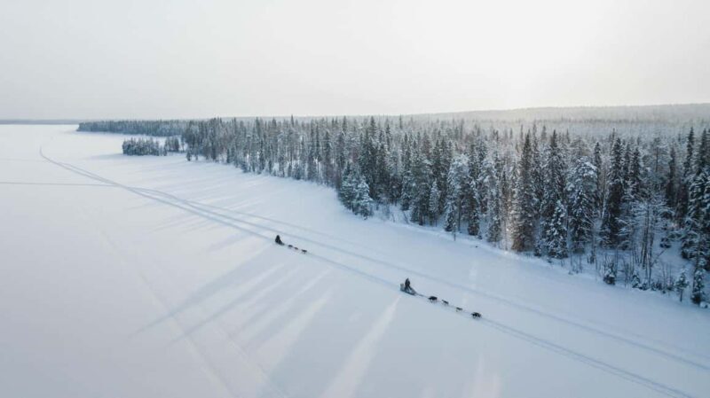 Rovaniemi: Self-Driving Husky Tour 7-kilometers - FAQ