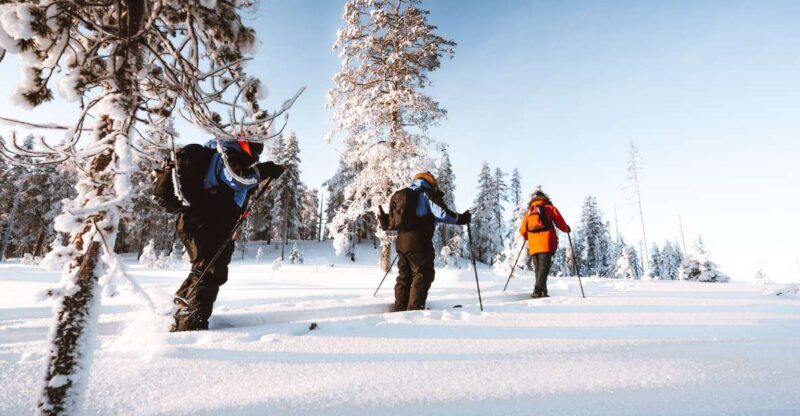 Rovaniemi: Ski Trekking Safari in Lapland - Who Is This Tour Best For?