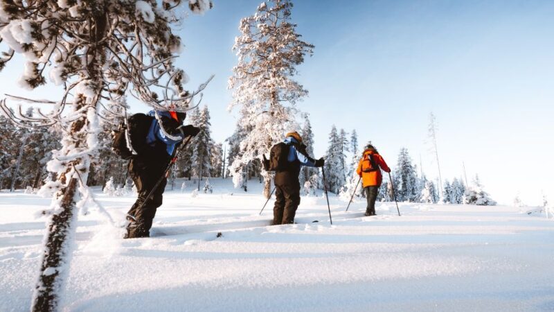 Rovaniemi: Ski Trekking Safari in Lapland - Final Thoughts