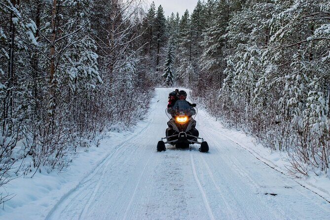 Rovaniemi Snowmobile Adventure & BBQ - 1Hour Drive, Small Group - Overview and Practical Details
