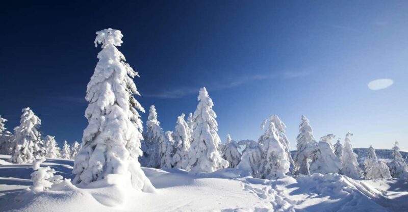 Rovaniemi: Snowmobile Safari Adventure - What to Expect: A Detailed Look at the Safari