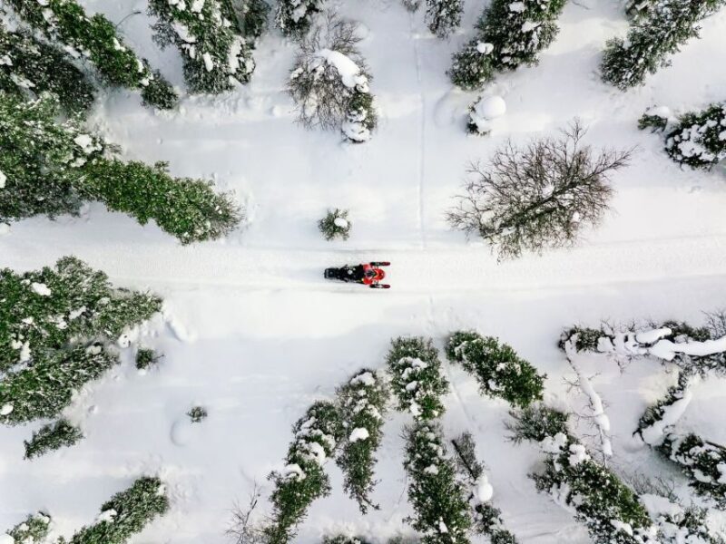 Rovaniemi: Snowmobile Safari Adventure - Who Will Love This Tour?