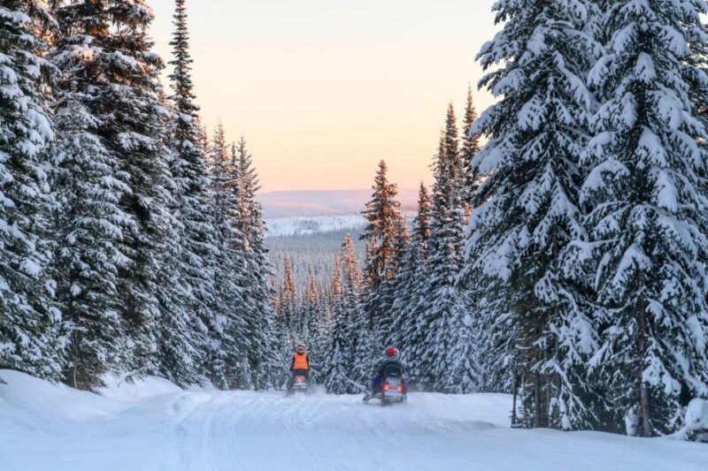 Rovaniemi: Snowmobile Safari Adventure - FAQs