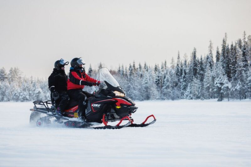 Rovaniemi: Snowmobile Safari in the Arctic Circle - The Value of This Snowmobile Safari