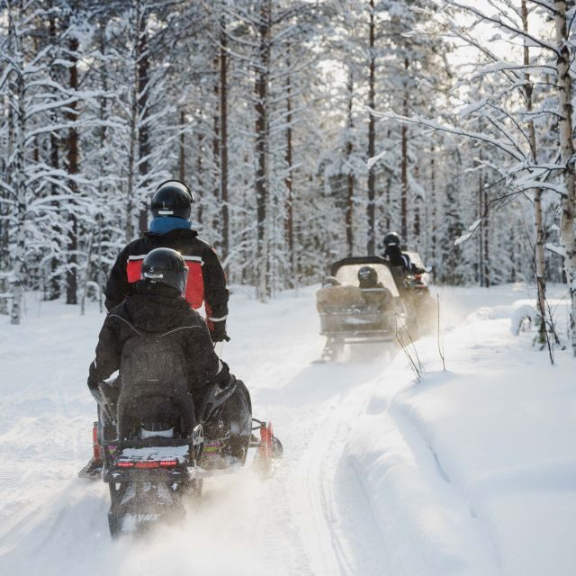 Rovaniemi: Snowmobile Safari in the Arctic Circle - The Experience Provider