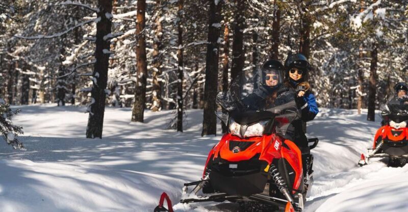 Rovaniemi: Snowmobile Safari into the Arctic Circle Forest - Key Points