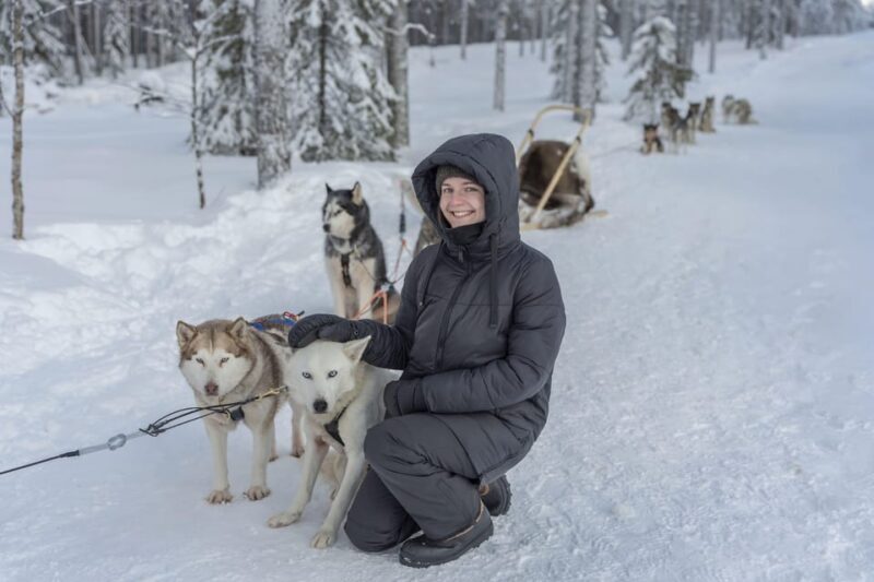 Rovaniemi: Snowmobile Safari, Reindeer & Husky Sleigh Ride - Key Points