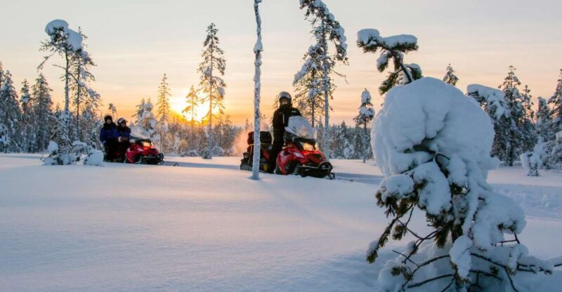 Rovaniemi: Snowmobile Safari to a Reindeer Farm - An In-Depth Look at the Tour Experience