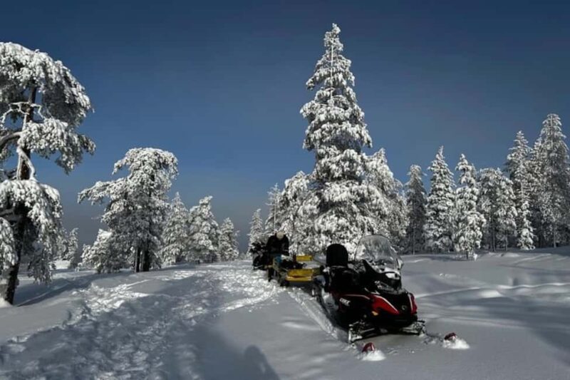 Rovaniemi: Snowmobile Safari to the Wilderness - Price & Value: Is It Worth It?