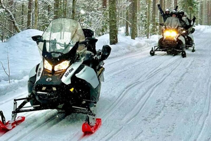 Rovaniemi: Snowmobile Safari to the Wilderness - Who Should Consider This Tour?