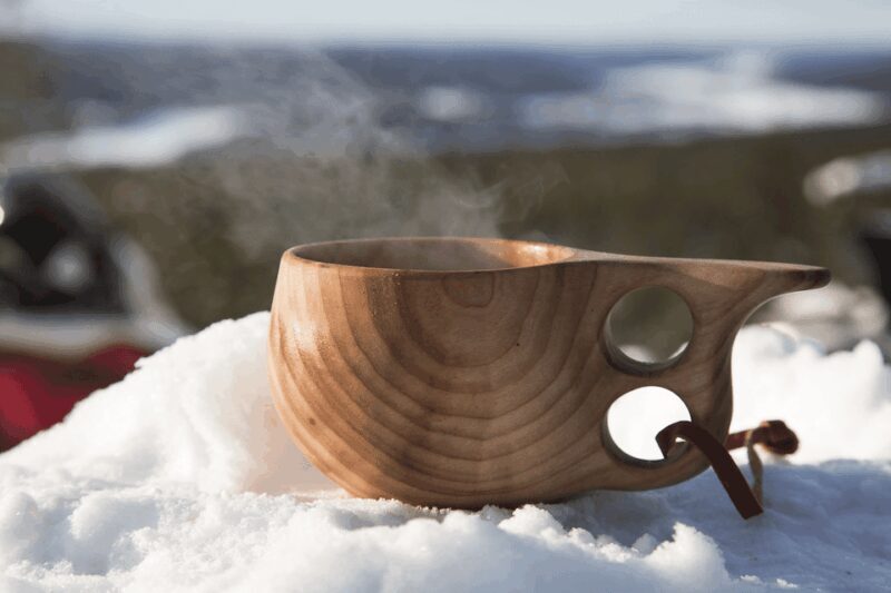 Rovaniemi: Snowmobile Sprint Safari - Diving Into the Details: What to Expect from the Snowmobile Safari