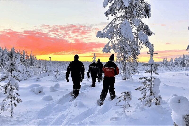 Rovaniemi: Snowshoe Hiking Adventure - Key Points
