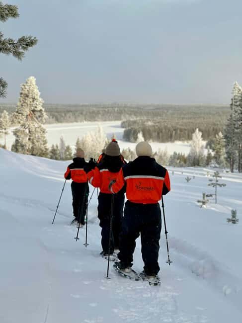 Rovaniemi: Snowshoe trip to meet reindeer - Discovering Lapland’s Winter Wonderland on Snowshoes