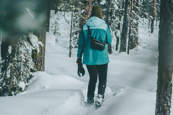 Rovaniemi: Snowshoeing in a magical snowy forest - An Authentic Snowy Forest Adventure Near Rovaniemi