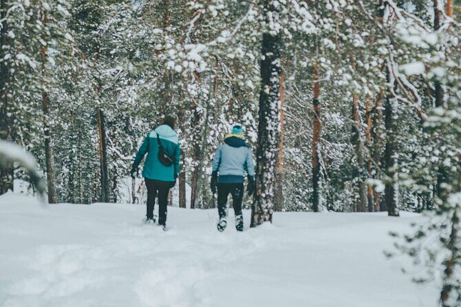 Rovaniemi: Snowshoeing in a magical snowy forest - Practical Details & Considerations
