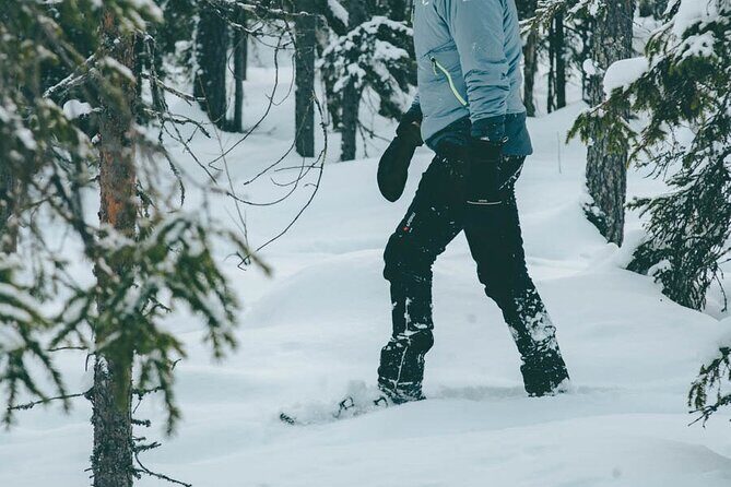 Rovaniemi: Snowshoeing in a magical snowy forest - The Sum Up