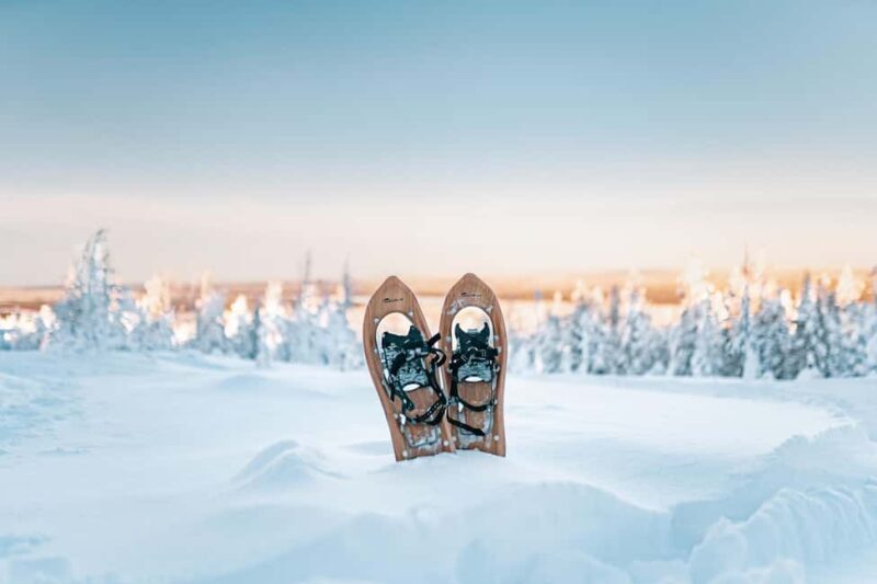 Rovaniemi: Snowshoeing in the Arctic Wilderness - The Full Experience: What You Can Expect