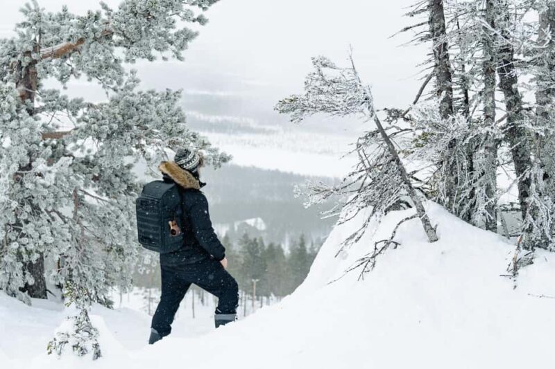 Rovaniemi: Snowshoeing in the Arctic Wilderness - Who Will Love This Tour?