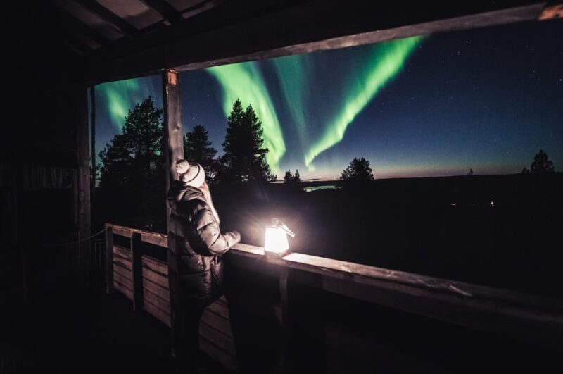 Rovaniemi: Snowy Forest Night Hike with Northern Lights - An In-Depth Look at the Snowshoe Night Hike Experience