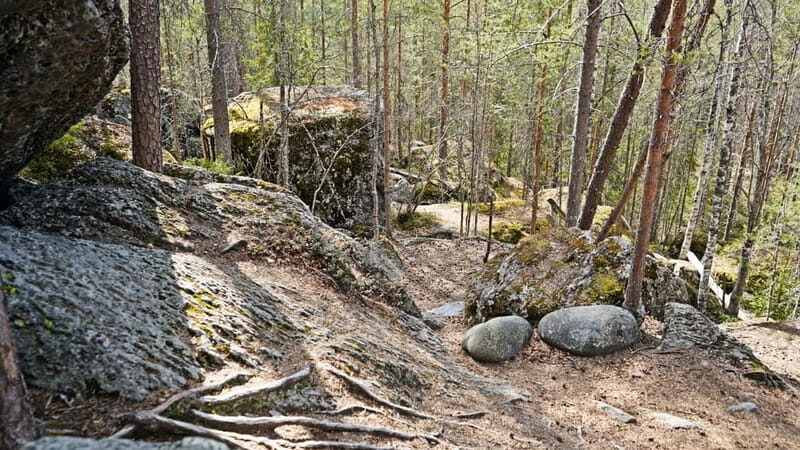 Rovaniemi: Sukulanrakka & Devil's Churns Tour - Authentic Experiences and Insights from Reviews