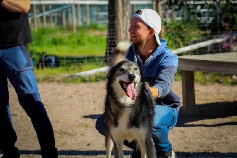 Rovaniemi: Summer Husky Kennel Tour and Cart Ride - Final Thoughts