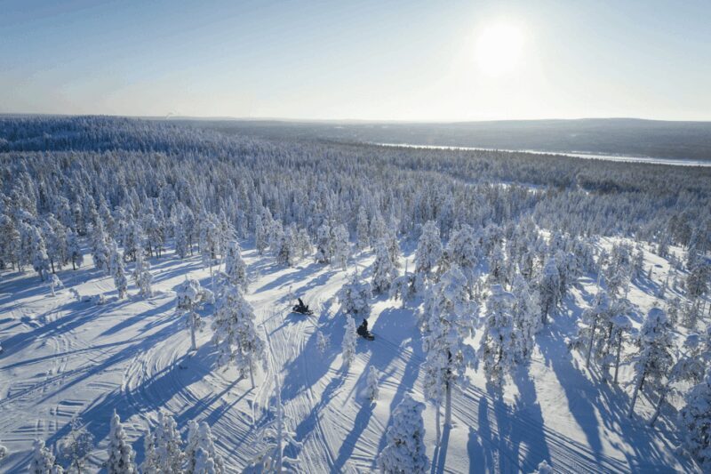 Rovaniemi: Taste of Wilderness Snowmobile Safari - Key Points