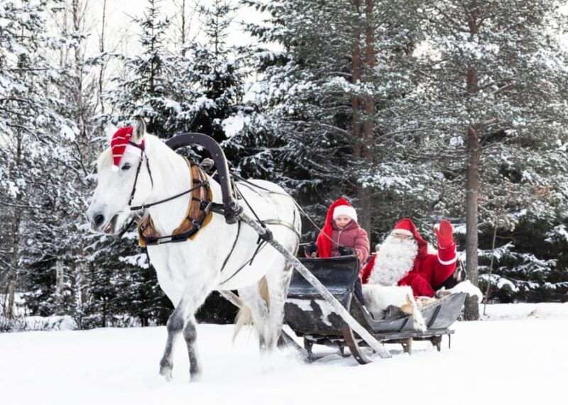 Rovaniemi: Traditional Finnhorse Sleigh Ride at SCV (3km) - Key Points