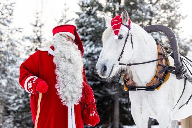 Rovaniemi: Traditional Finnhorse Sleigh Ride at SCV (3km) - An In-depth Look at the Finnhorse Sleigh Ride Experience