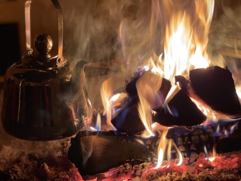 Rovaniemi: Traditional Finnhorse Sleigh Ride at SCV (3km) - Final Thoughts: Who Will Love This Tour?