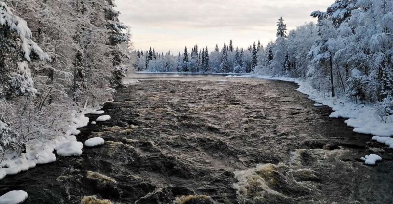 Rovaniemi: Vaattunki Hiking Arctic Circle Trail - FAQ