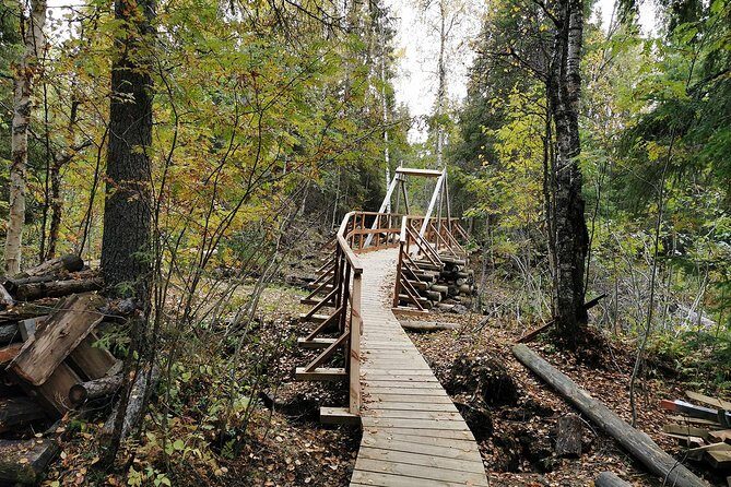 Rovaniemi: Vaattunkiköngäs Nature Trail Hiking Tour - Key Points