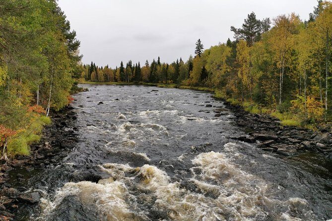 Rovaniemi: Vaattunkiköngäs Nature Trail Hiking Tour - Practical Details