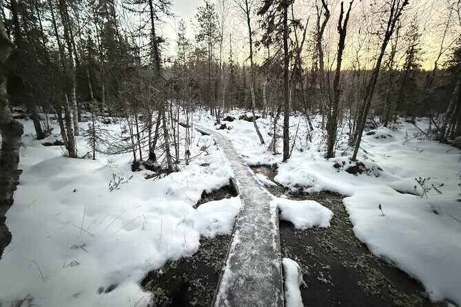 Rovaniemi Vikaköngäs Sightseeing & Photography Tour - Why This Tour Works Well for Travelers