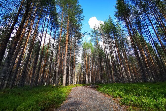 Rovaniemi Vikaköngäs Sightseeing & Photography Tour - FAQ