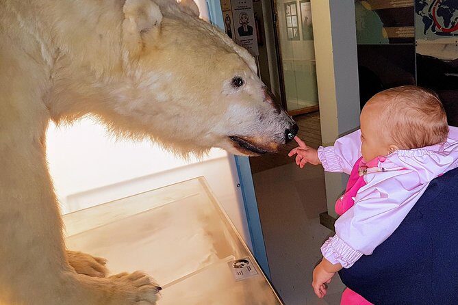 Rovaniemi walking tour and guided Arktikum experience - An In-Depth Look at the Tour