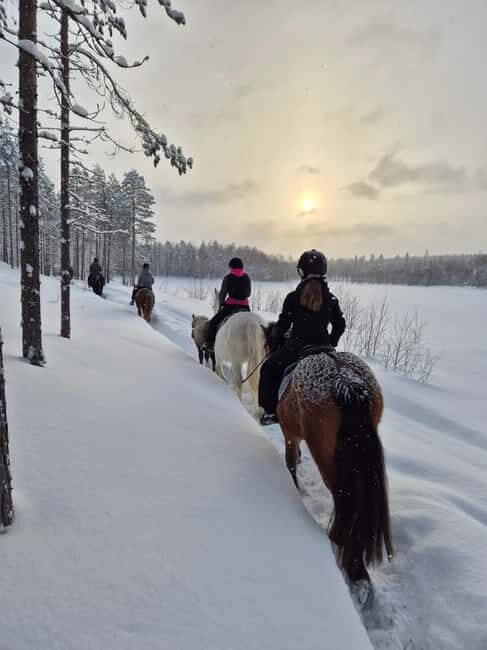 Rovaniemi: Winter Horseback Ride on Snowy Hills and Forests - An In-Depth Look at the Rovaniemi Winter Horseback Ride