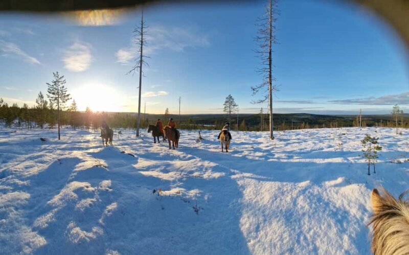 Rovaniemi: Winter Horseback Ride on Snowy Hills and Forests - Final Thoughts