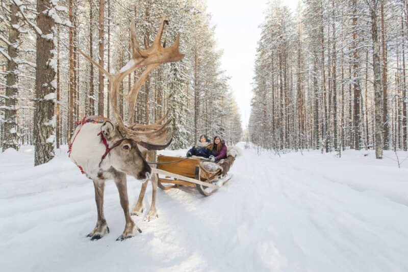 Rovaniemi: Winter Snowshoeing, Reindeer & Husky Sleigh Ride - Practical Details: What to Expect