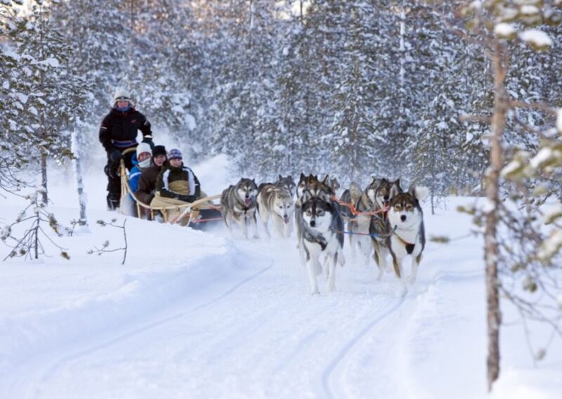 Rovaniemi: Winter Snowshoeing, Reindeer & Husky Sleigh Ride - Final Thoughts