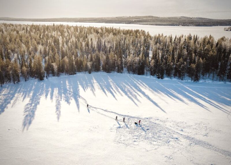 Rovaniemi: Winter Wilderness Snowshoeing Trip - Exploring the Arctic Wilderness on Snowshoes
